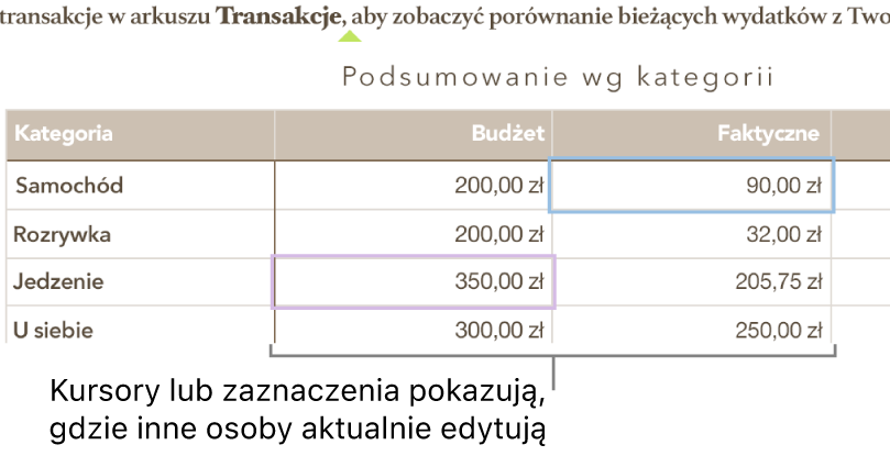 Kursory i zaznaczenia w różnych kolorach w komórkach tabeli wskazują miejsca edytowane przez innych użytkowników udostępnionego arkusza kalkulacyjnego.