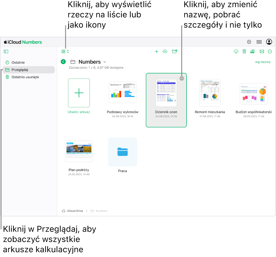 Menedżer dokumentów w widoku przeglądania, pokazujący dokumenty Numbers jako ikony w siatce. W prawym górnym rogu wybranego arkusza kalkulacyjnego widoczny jest przycisk Więcej (trzy kropki). Nad arkuszami, z lewej strony paska narzędzi, jest menu podręczne, z którego można wybrać wyświetlanie rzeczy jako ikony lub listę. Z prawej strony paska narzędzi są przyciski umożliwiające pobieranie, współpracę, wysyłanie wiadomości e-mail lub usuwanie pozycji.