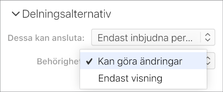 Popupmenyn Behörighet nedanför Delningsalternativ är öppen med alternativ som tillåter att andra gör ändringar i ett kalkylblad eller bara kan visa det.