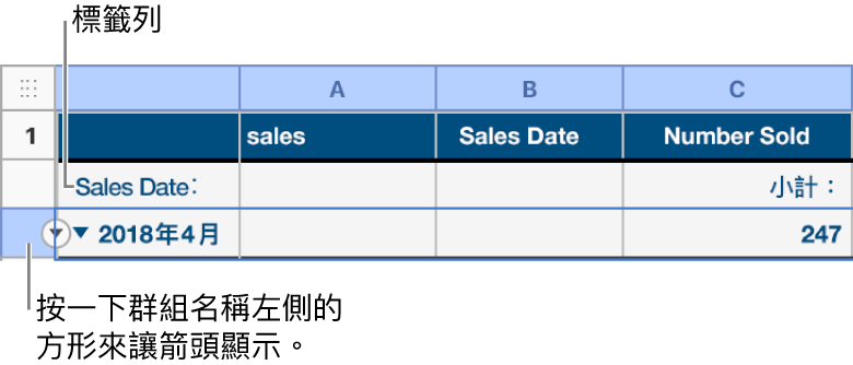 已分類表格中已選取摘要列，且其邊界出現向下箭頭；摘要列上方的標籤列在第三欄中，顯示群組名稱上方的類別與函數名稱小計。