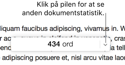 Lokalmenuen med dokumentstatistik viser antallet af ord.