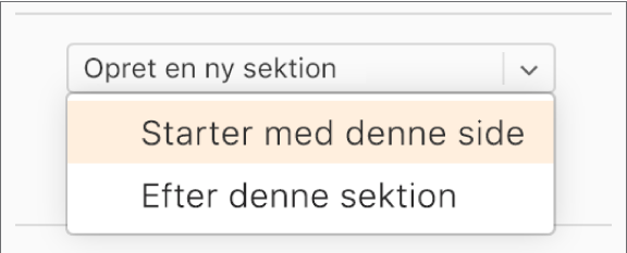 Lokalmenuen “Opret en ny sektion” er åben, og “Starter med denne side” er valgt.