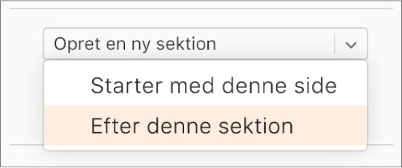 Lokalmenuen “Opret en ny sektion” er åben, og “Efter denne sektion" er valgt.