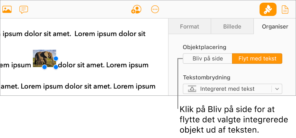 Et integreret billede i brødteksten er valgt, og knappen Bliv på side er synlig på fanen Arranger i indholdsoversigten.