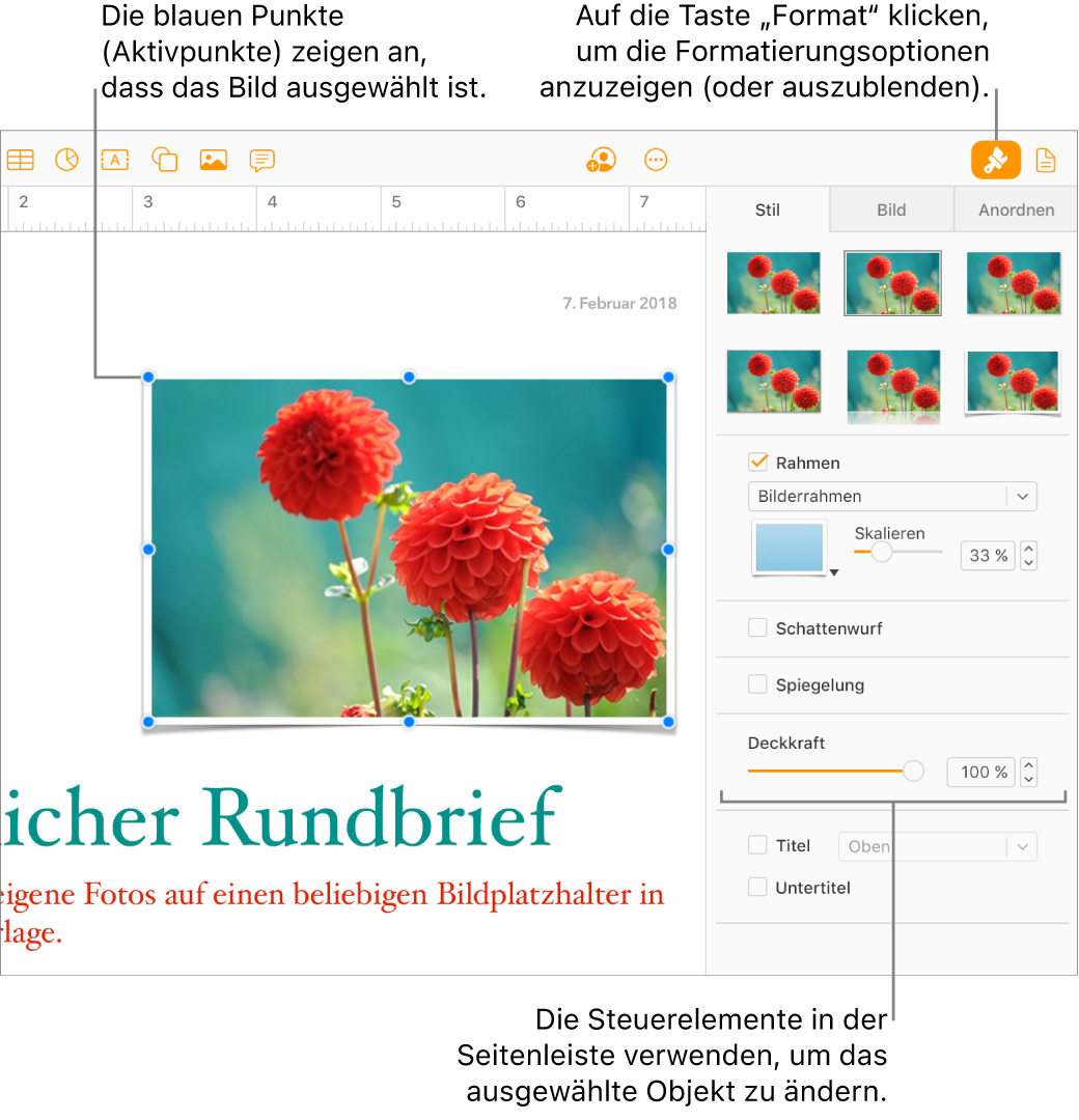 Ein in einem Dokument ausgewähltes Bild und die Steuerelemente zum Ändern seines Erscheinungsbildes (z. B. Markierungsfelder für Rahmen und Schattenwurf) werden in der rechten Seitenleiste angezeigt.