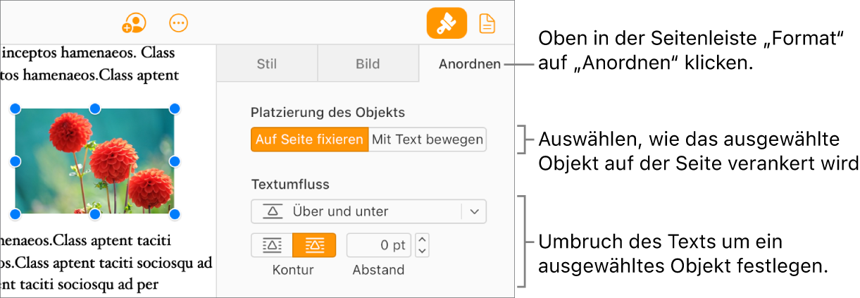 Ein Bild ist im Textkörper des Dokuments ausgewählt. Im Tab „Anordnen“ der Seitenleiste „Format“ wird angezeigt, dass die Option „Auf Seite bleiben“ für das Objekt aktiviert ist, und dass der Text über und unter dem Objekt umgebrochen wird.