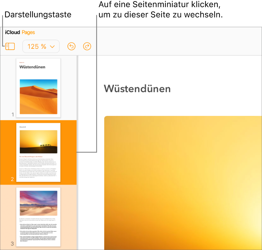 Seitenminiaturen in der linken Seitenleiste, wobei die ausgewählte Seite in dunklem Orange und eine andere Seite im selben Abschnitt in hellem Orange hinterlegt sind.
