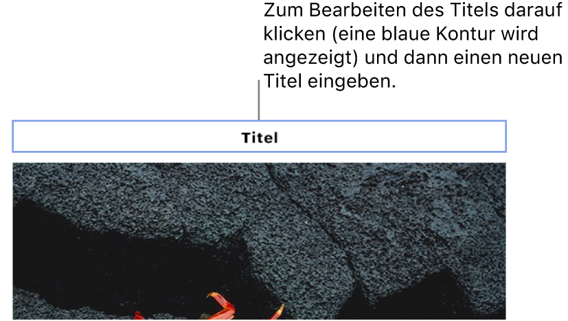Der Platzhaltertitel „Titel“ erscheint über einem Foto. Eine blaue Kontur um das Titelfeld herum zeigt an, dass es ausgewählt wurde.