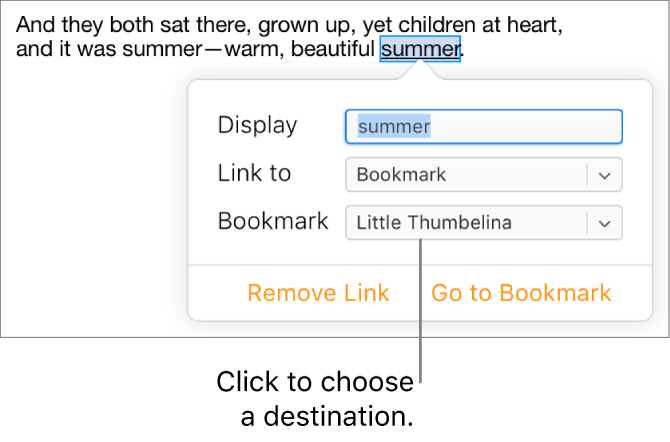 Text in a document is selected and underlined, and the link window shows the text is linked to a bookmark.