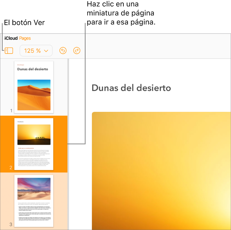 “Miniaturas de página” en la barra lateral izquierda con la página seleccionada resaltada en naranja oscuro y otra página de la misma sección resaltada en naranja claro.