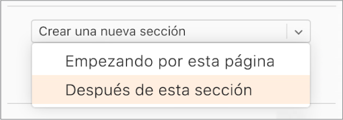 El menú desplegable “Crear una nueva sección” está abierto, y está seleccionado “Después de esta sección”.