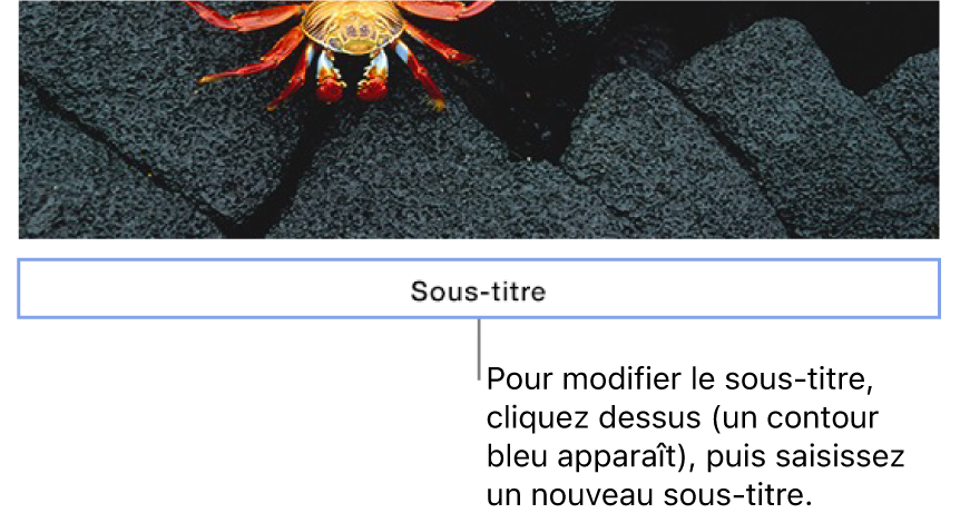 Le sous-titre fictif « Sous-titre » s’affiche sous une photo. Un contour bleu autour du champ de sous-titre montre qu’il est sélectionné.