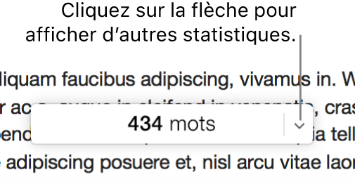 Menu local des statistiques du document avec le nombre de mots