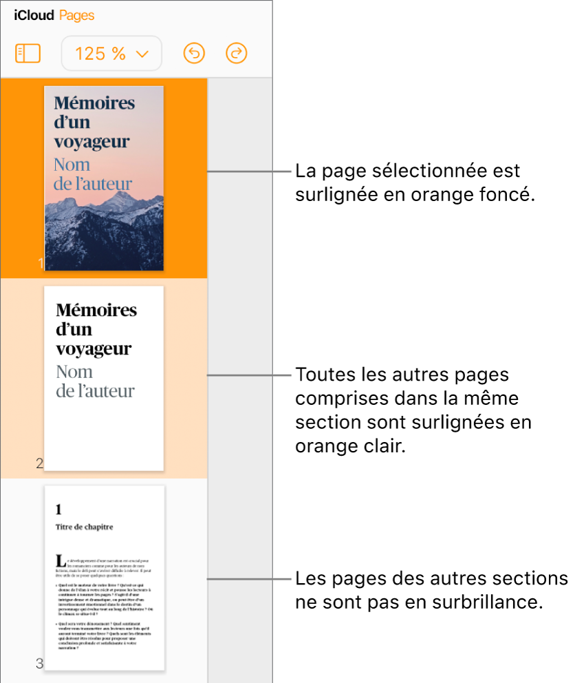 Vignettes de page dans la barre latérale gauche, avec la page sélectionnée mise en surbrillance en orange foncé et une autre page de la même section mise en surbrillance en orange clair. Aucune surbrillance n’apparaît derrière une page d’une autre section.