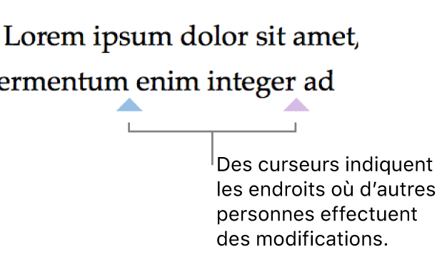 Curseurs de différentes couleurs montrant où des personnes effectuent des modifications dans un document partagé.