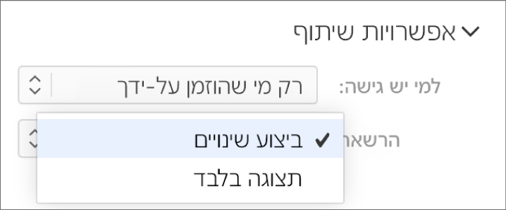 התפריט הקופץ ״הרשאה״ מתחת ל״אפשרויות שיתוף״ פתוח ומציג את האפשרויות: מתן הרשאה לאנשים לערוך את המסמך או רק לצפות בו.