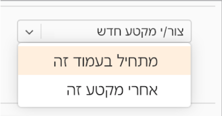 התפריט הקופץ ״יצירת מקטע חדש״ פתוח והאפשרות ״התחלה בעמוד זה״ נבחרה.