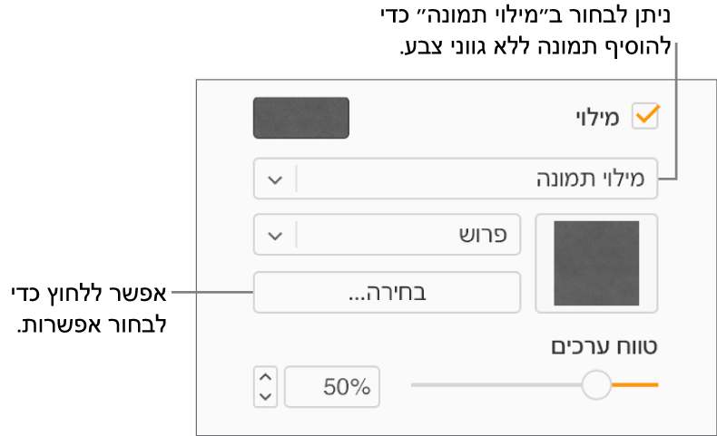 תיבת הסימון ״מילוי״ נבחרת בסרגל הצד והאפשרות ״מילוי תמונה״ נבחרת בתפריט הקופץ מתחת לתיבת הסימון. פקדים לבחירת תמונה, איך היא ממלאת את האובייקט וקנה המידה של התמונה, מופיעים מתחת לתפריט הקופץ. תצוגה מקדימה של מילוי התמונה מופיעה בריבוע (לאחר שבוחרים תמונה).