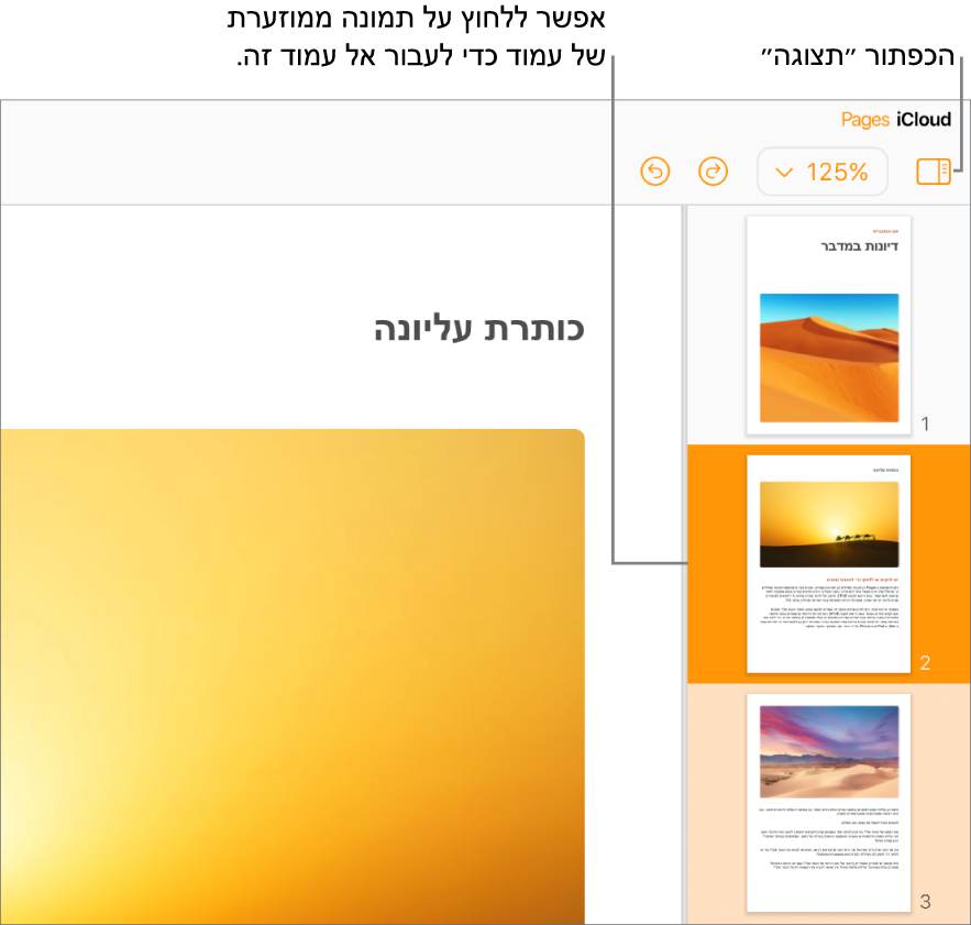״עמודים כתמונות ממוזערות״ בסרגל הצד השמאלי, כאשר העמוד שנבחר מודגש בכתום כהה ועמוד אחד נוסף באותו מקטע מודגש בכתום בהיר.