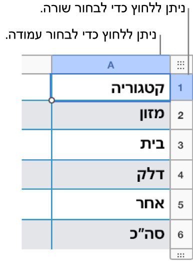 שורה נבחרת עם הסברים המצביעים על בחירת השורה והעמודה.