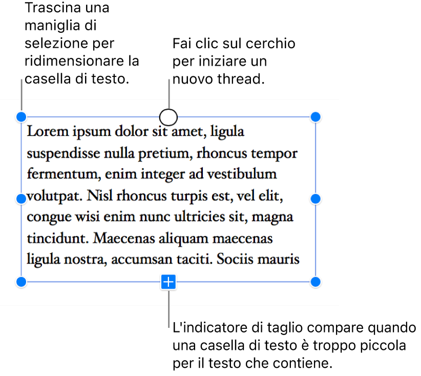 Le maniglie blu di selezione intorno alla casella indicano che è selezionata, l’indicatore di troncatura in fondo significa che parte del testo è eccedente: in questo caso puoi fare clic sul cerchio in alto per iniziare un nuovo thread.