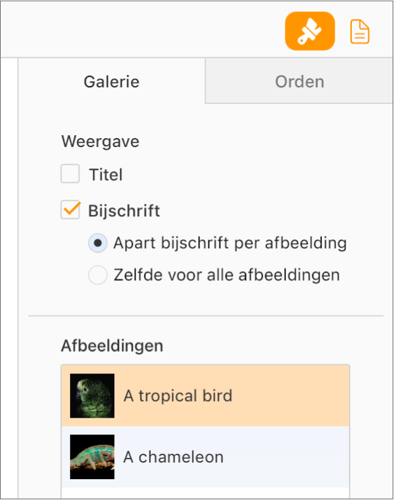 De tab 'Galerie' in de navigatiekolom 'Opmaak'. Het aankruisvak 'Bijschrift' is geselecteerd en er zijn opties voor afzonderlijke bijschriften voor elke afbeelding, of hetzelfde bijschrift voor alle afbeeldingen. Onder de regelaars staan er miniaturen van elke afbeeldingen met de bijschrifttekst rechts.