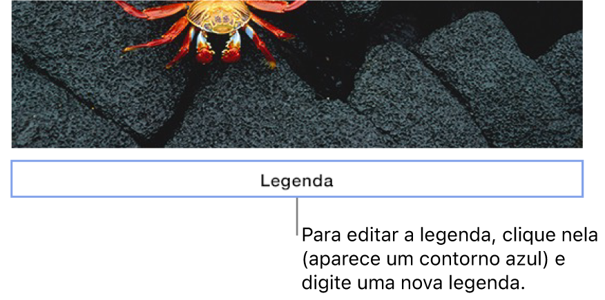 A legenda do espaço reservado, "Legenda", aparece acima de uma foto; um contorno azul ao redor do campo de legenda mostra sua seleção.