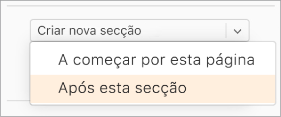 Com o menu pop-up "Criar nova secção" aberto e a opção "Após esta secção" selecionada.