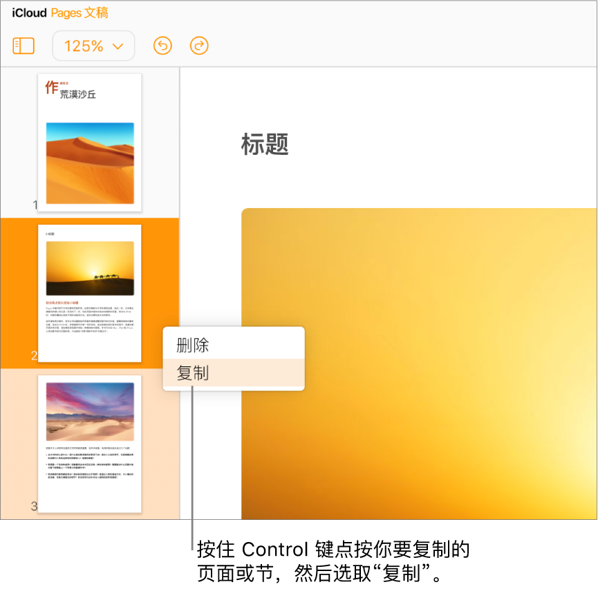 左侧边栏中多页文字处理文稿的页面缩略图，以及使用暗橘色着重显示的选中页面和同一部分中使用亮橘色着重显示的另一个页面。弹出式菜单中存在可删除或复制所选节的选项。