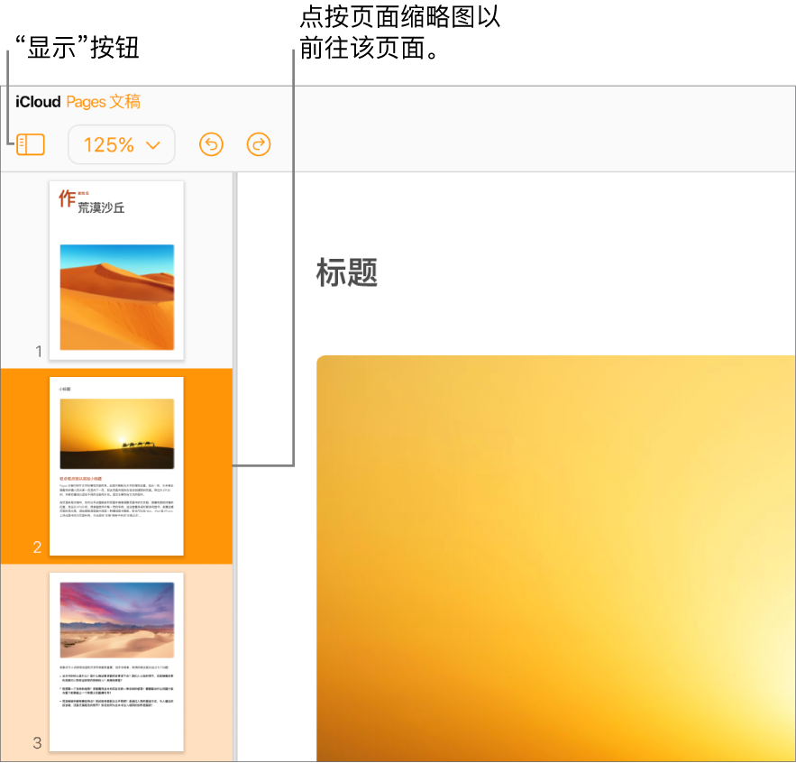 屏幕左侧的“页面缩略图”视图，其中显示了一个已选中的页面。“显示”按钮位于缩略图上方的工具栏中。