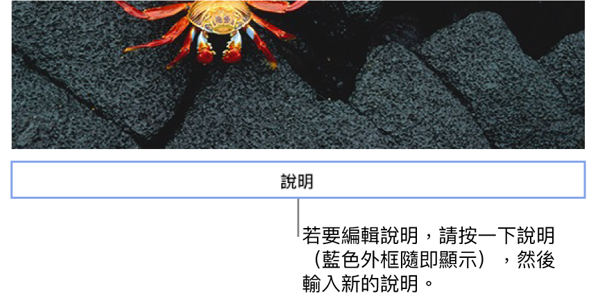 暫存區說明「說明」出現在照片下方；說明欄位周圍顯示藍色外框，代表已選取。