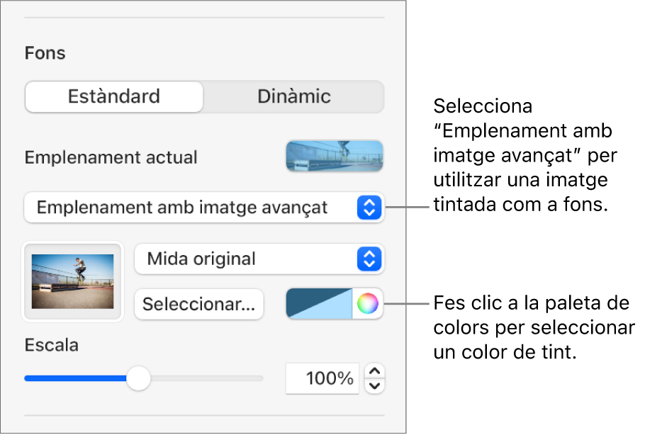 Els controls del fons i l’opció “Emplenament d’imatge avançat” per afegir un tint com a fons de diapositiva.