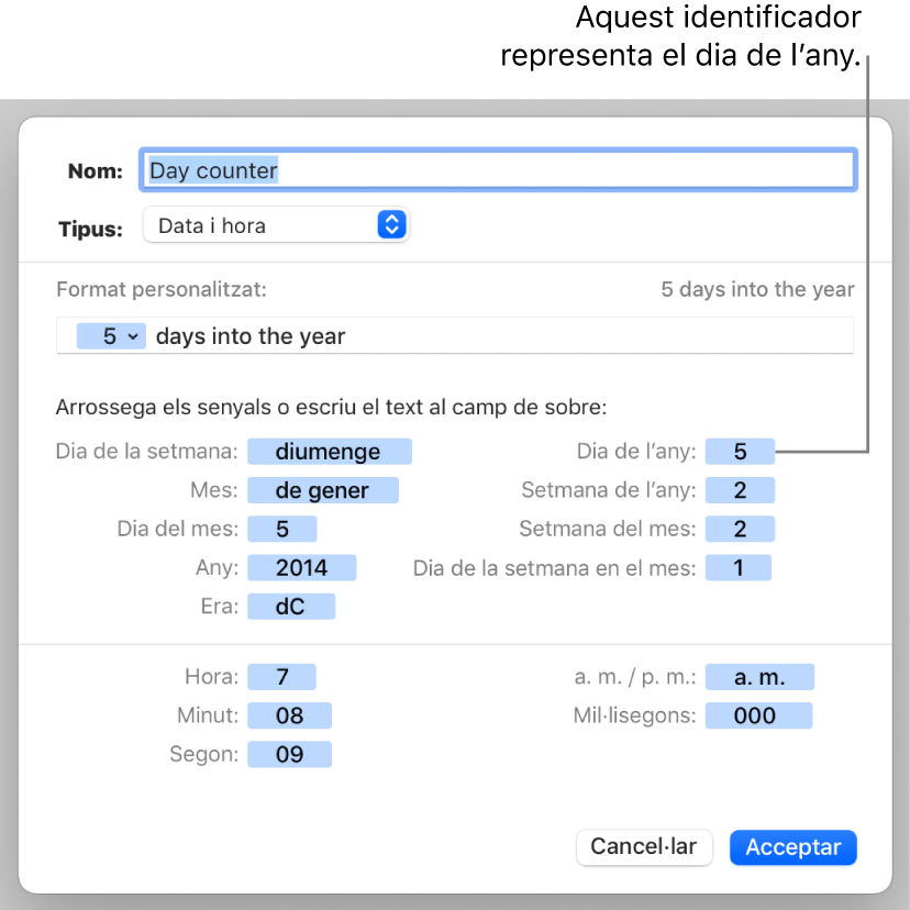 La finestra de format de cel·la personalitzat, amb controls per crear un format personalitzat de data i hora.