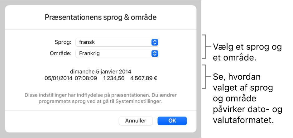 Vinduet Sprog & område med betjeningsmuligheder til sprog og område og et formateksempel, der viser dato, tid, decimaltegn og valuta.