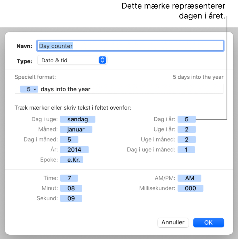 Vinduet til specielle celleformater med betjeningsmuligheder til oprettelse af et specielt dato- og tidsformat.