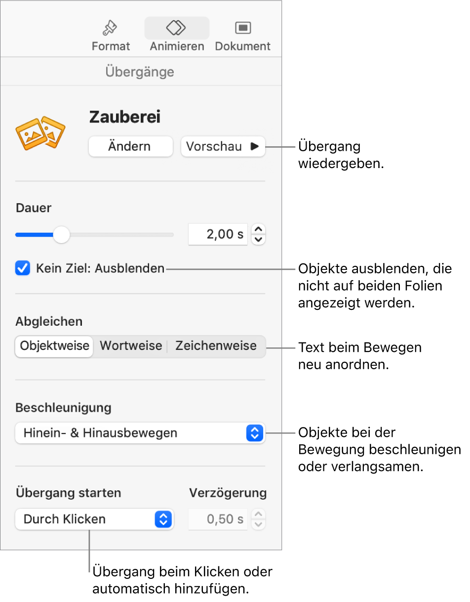 Steuerelemente für Zauberei im Bereich „Übergänge“ in der Seitenleiste „Animieren“