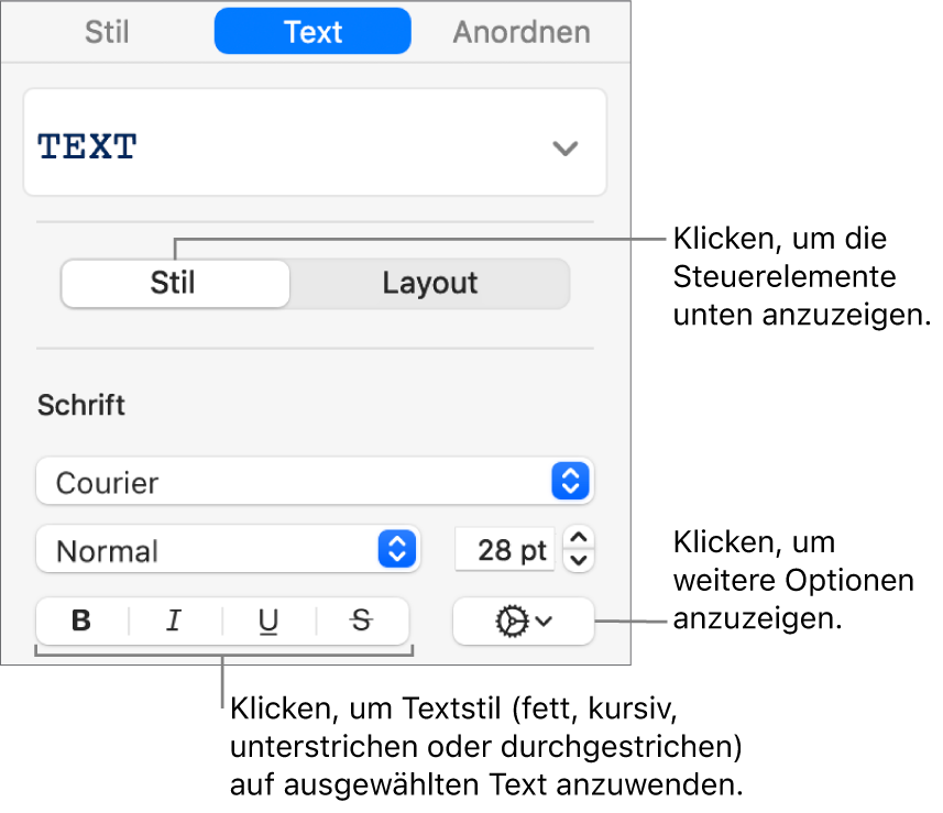 Die Steuerelemente für den Stil in der Seitenleiste mit Beschriftungen für die Tasten für „Fett“, „Kursiv“, „Unterstrichen“ und „Durchgestrichen“