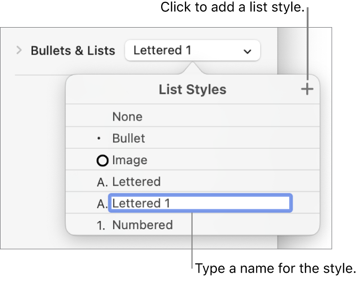 The List Styles pop-up menu with an Add button in the top-right corner and a placeholder style name with its text selected.