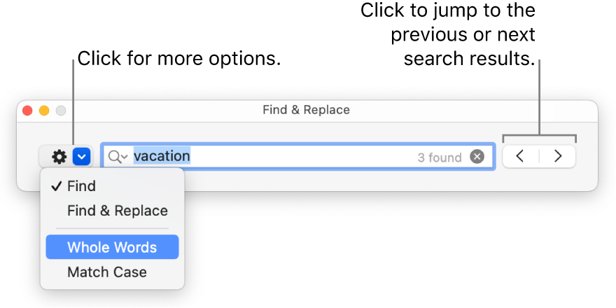 The Find & Replace window with the pop-up menu showing options for Find, Find & Replace, Whole Words, and Match Case. The arrows on the right let you jump to the previous or next search results.