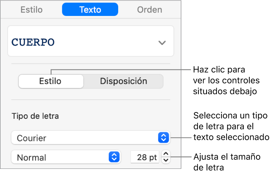 Controles de texto de la sección Estilo de la barra lateral para ajustar el tamaño y el tipo de letra.