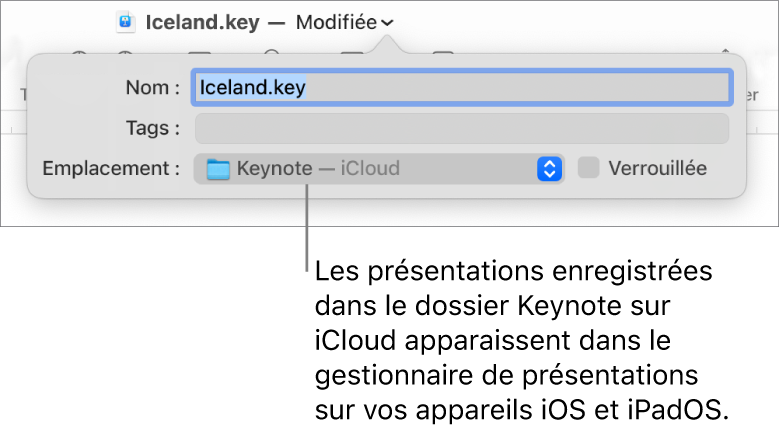 Zone de dialogue d’enregistrement d’une présentation avec Keynote (iCloud dans le menu local Emplacement).