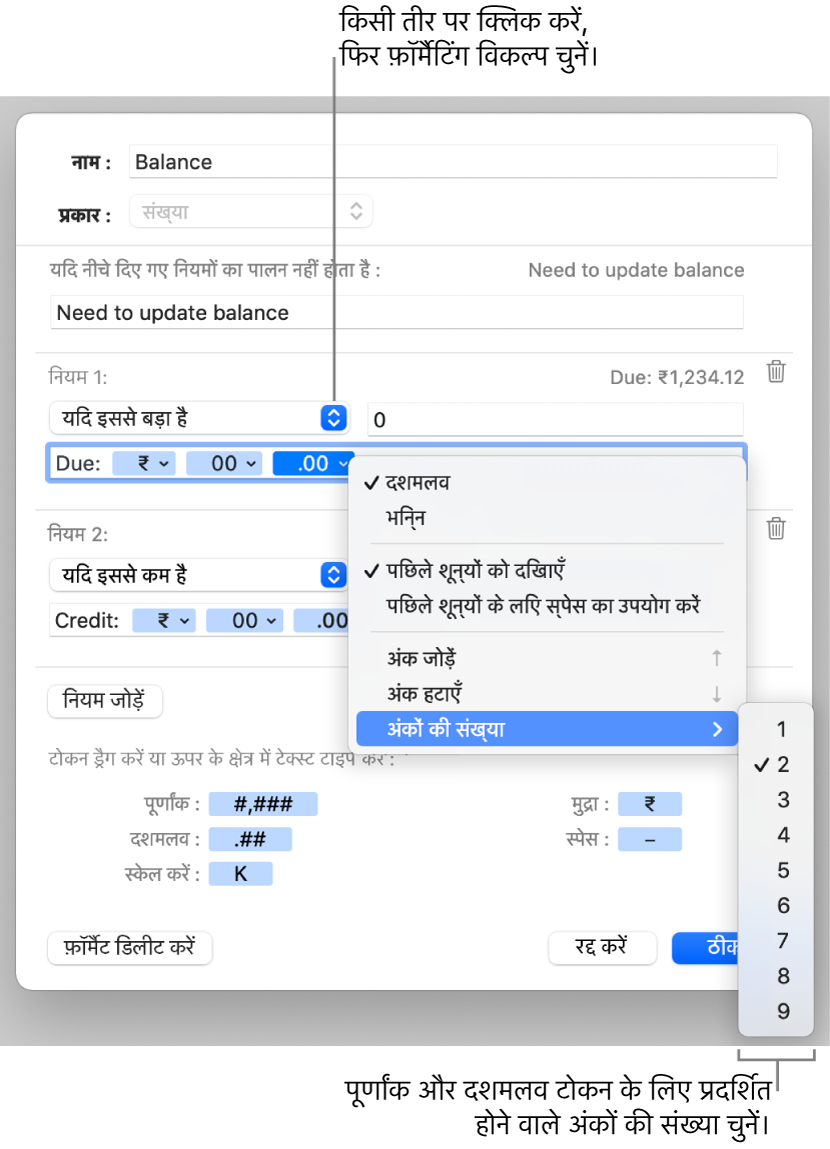 कस्टम अंक फ़ॉर्मैट बनाने के लिए नियंत्रणों वाली कस्टम सेल विंडो।