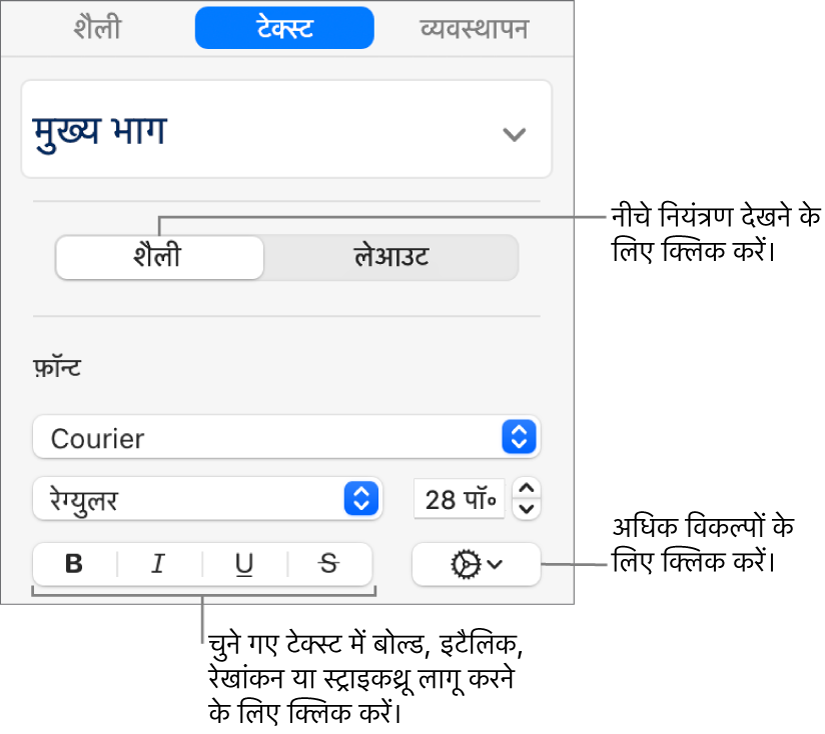 बोल्ड, इटैलिक, रेखांकन और स्ट्राइकथ्रू बटन में कॉलआउट वाले “फ़ॉर्मैट” साइडबार के शैली नियंत्रण।