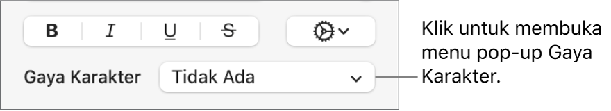 Menu pop-up Gaya Karakter di bawah kontrol untuk mengubah gaya teks dan warna.
