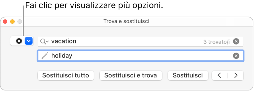 La finestra “Trova e sostituisci” con una didascalia per il menu a comparsa che consente di visualizzare più opzioni.