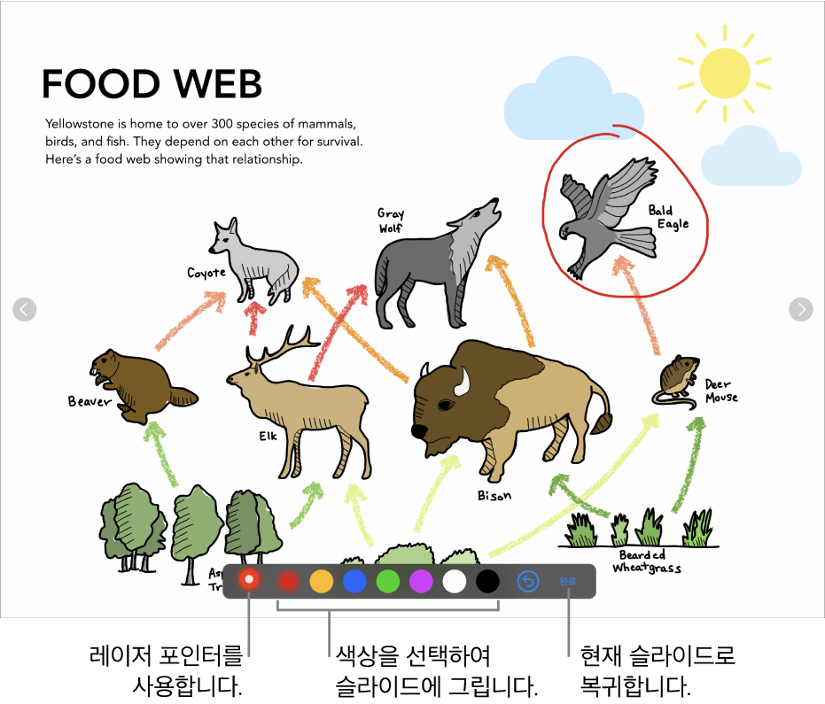 레이저 포인터 및 색상 선택 제어기를 보여주는 슬라이드 일러스트레이션 모드의 슬라이드.