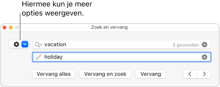 Het venster 'Zoek en vervang' met uitleg bij het pop‑upmenu met meer opties.