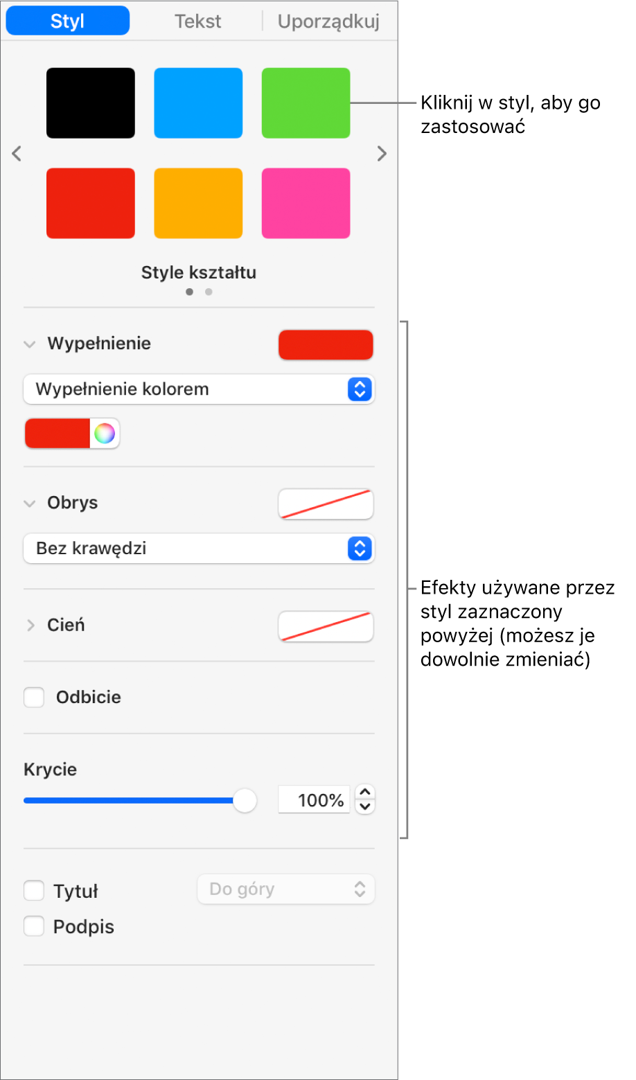 Style kształtów i opcje w sekcji Format na pasku bocznym.