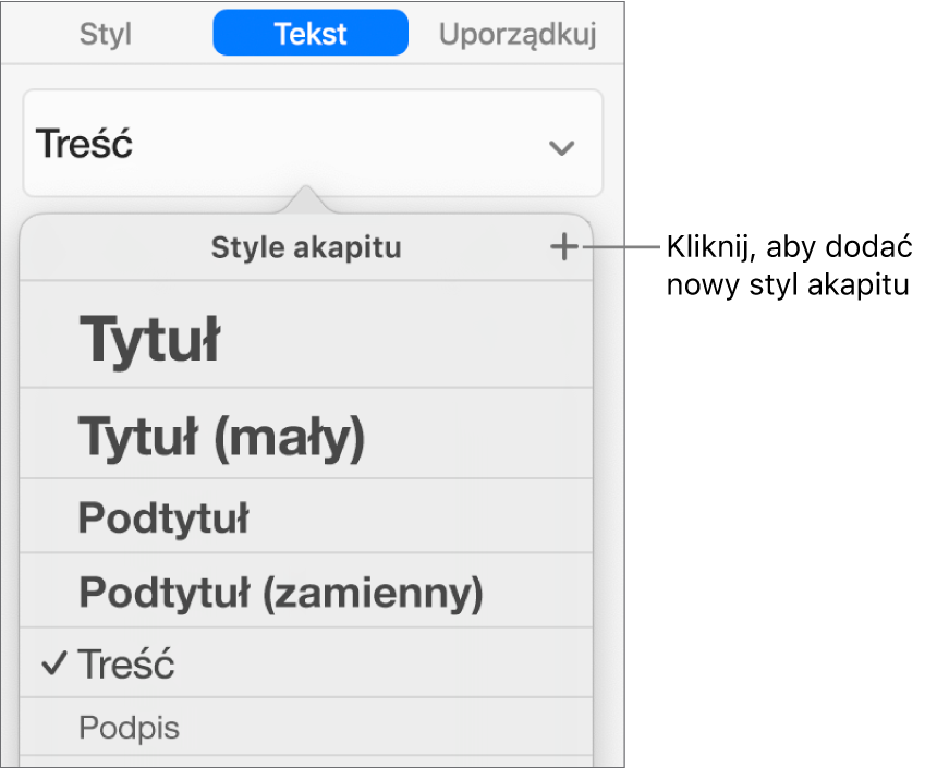 Menu Style akapitu z objaśnieniem przycisku Nowy styl.