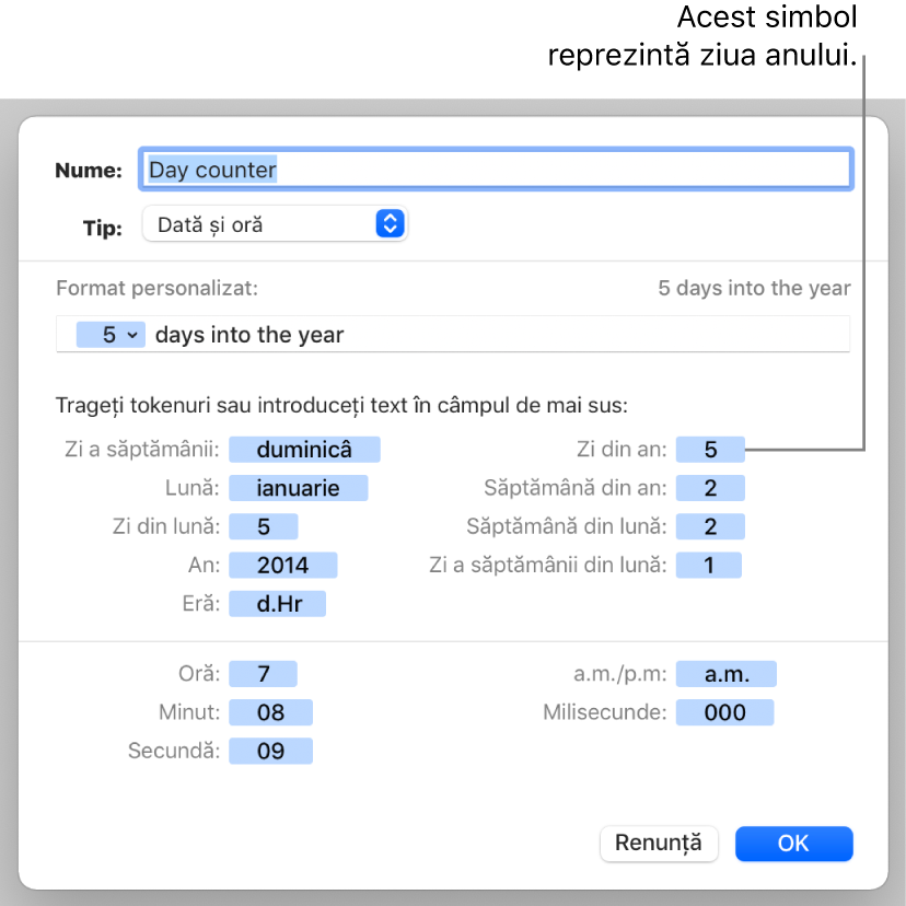 Fereastra de formatare personalizată a celulei, cu comenzi pentru crearea unei formatări personalizate a datei și orei.